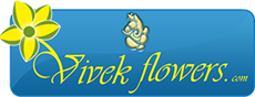 viveks_logo